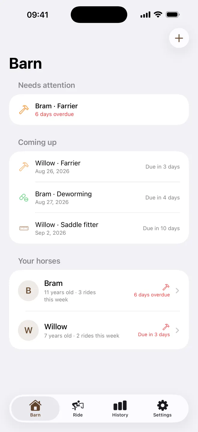 Horse care schedule in Rosrijk